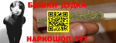 СК Дубна