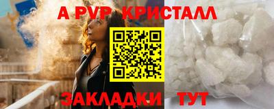 СК Дубна