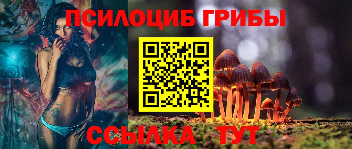 Псилоцибиновые грибы мицелий  Вход с VPN  Магадан  Галлюциногенные грибы ЛСД 